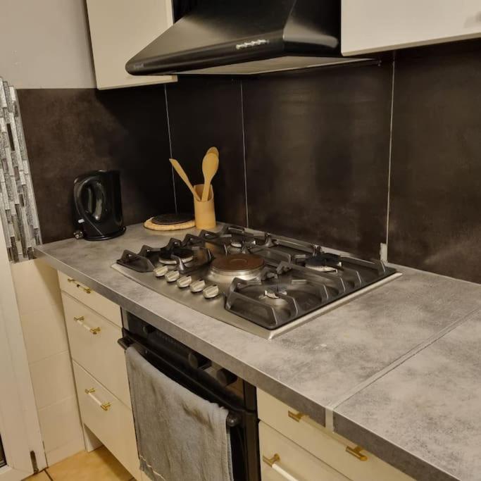 Les Cigognes De Andolsheim Appartement Buitenkant foto