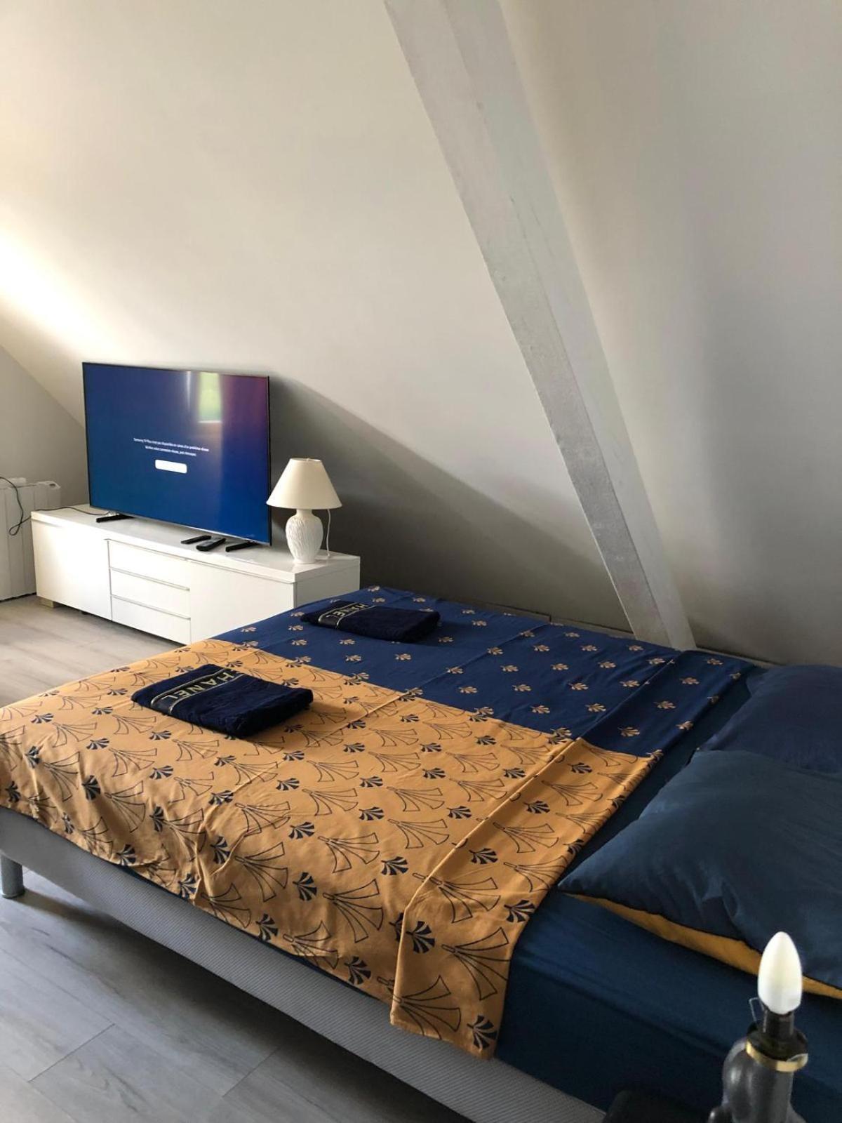 Les Cigognes De Andolsheim Appartement Buitenkant foto