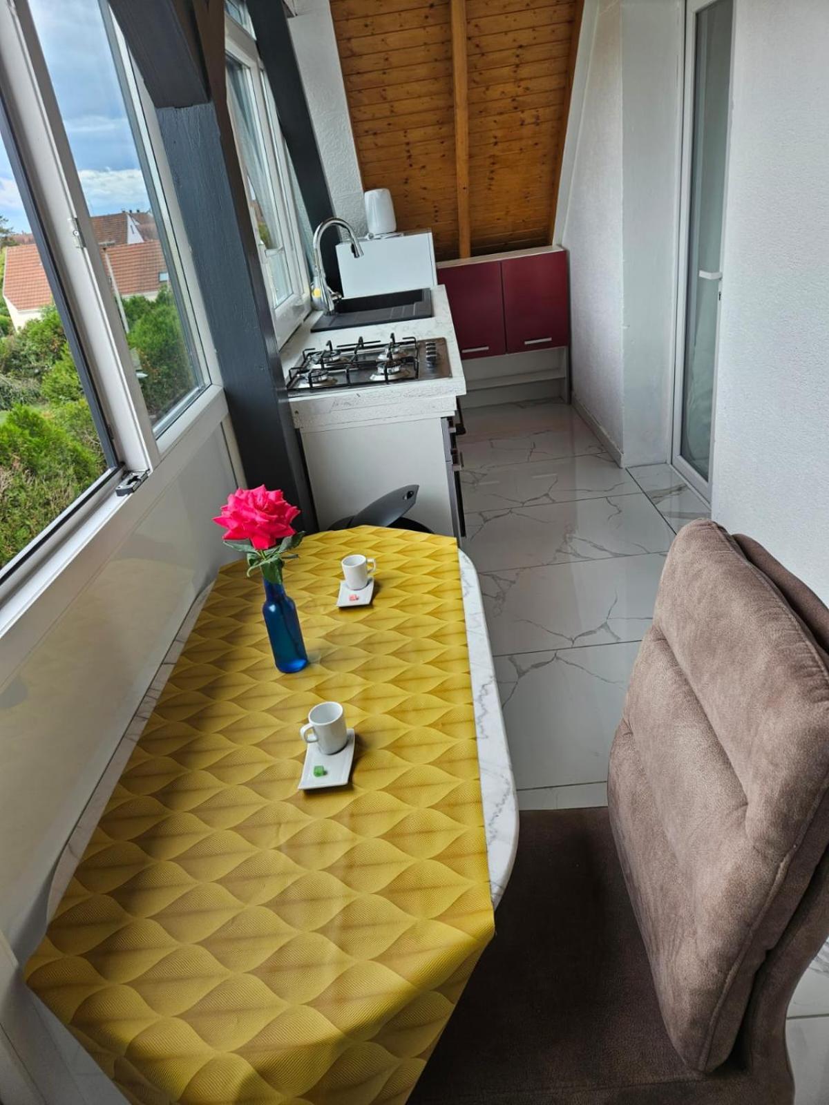 Les Cigognes De Andolsheim Appartement Buitenkant foto